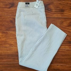 Express Columnist Ankle Pant